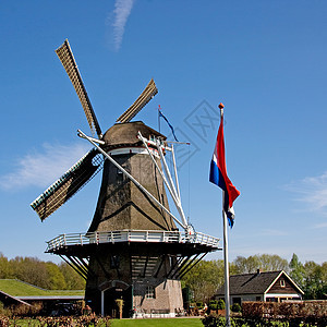 纽约市荷兰风力车图片