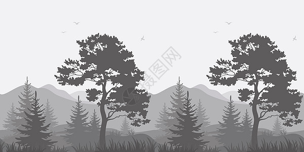 山地景观 树木和鸟类松树生长植物环境地形叶子墙纸枞树木头针叶图片