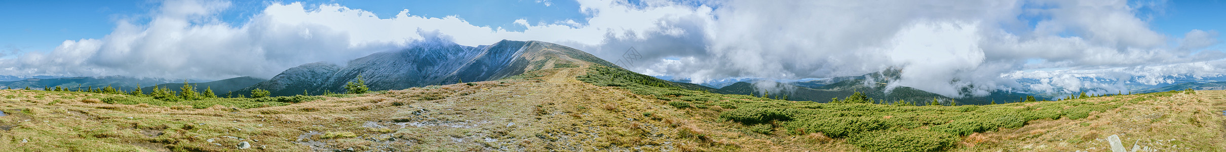 乌克兰的Hoverla远足山脉场景山松全景首脑顶峰阳光风景丘陵图片