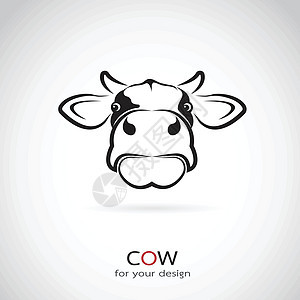 白色背景牛头的矢量图像动物牛奶奶制品乐趣草图小牛农民哺乳动物牛扒农业背景图片