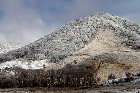 贝什图山季节牧场棕色丘陵草地白色蓝色风光田园山脊图片