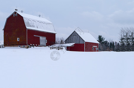 冬天的红营背景图片