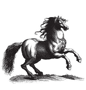马优胜者牛仔饲养夹子力量雕刻鬃毛插图马具古董图片