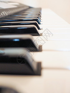 音乐键盘钢琴器官电子迷笛白色乐器大键钥匙黑色图片