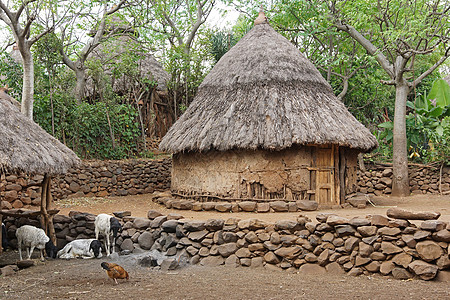 康索 埃塞俄比亚 非洲景点房屋生活水平旅游全景群体乡村种族家园观光背景
