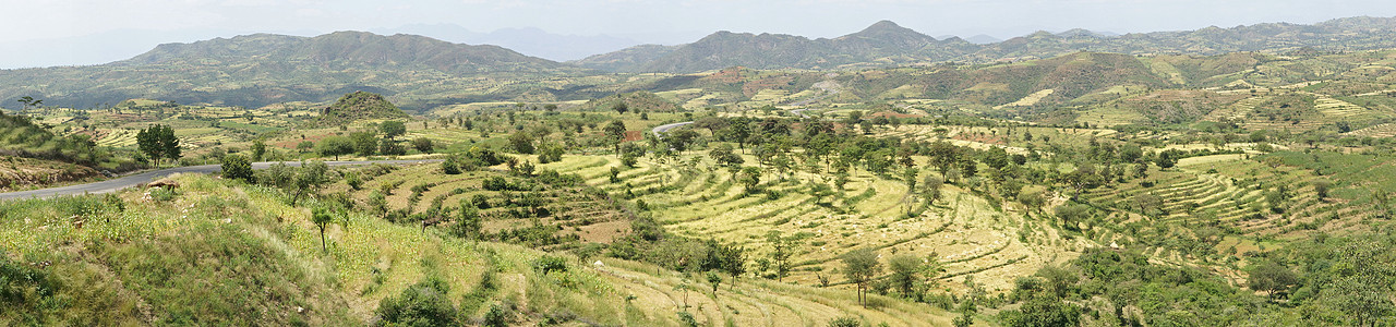 康索 埃塞俄比亚 非洲风景全景乡村旅行旅游山脉农业植物图片