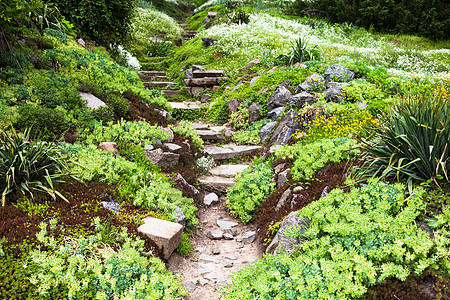 绿花园中的石 Stony 路和楼梯灌木人行道爬坡石头踪迹公园杂草假山途径植物图片