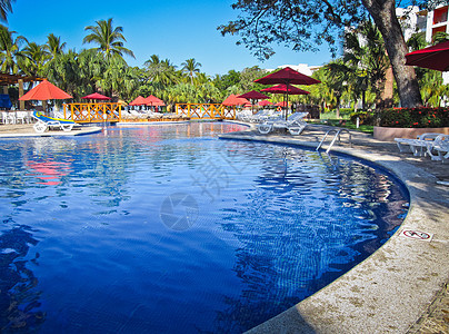 萨尔瓦多的游泳池边早上海岸旅游棕榈树木观光游泳假期雨伞椅子旅行图片