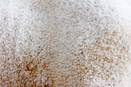 羊毛纹理白色毛皮动物宏观材料背景图片