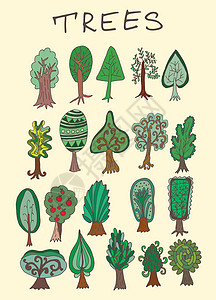 一套手工绘制的涂面林树橡木松树叶子涂鸦树干收藏花园木头衬套插图图片