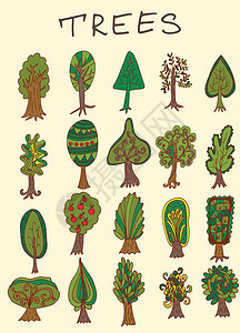 一套手工绘制的涂面林树盆栽森林季节艺术树干木头橡木松树桦木衬套图片