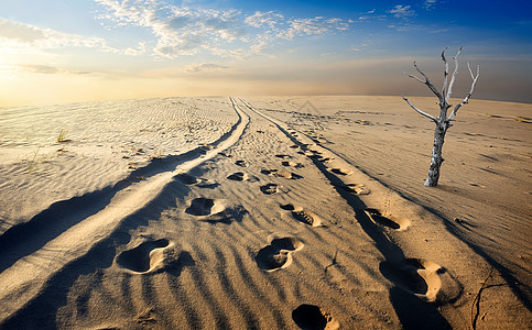沙漠沙漠太阳干旱痕迹国家沙丘脚印地平线荒野土地阳光图片