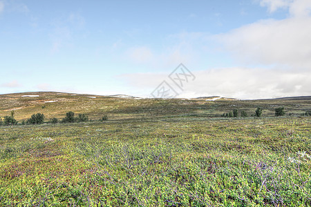 Tundra 景观国家风景爬坡晴天公园地形全景树木高地石头图片