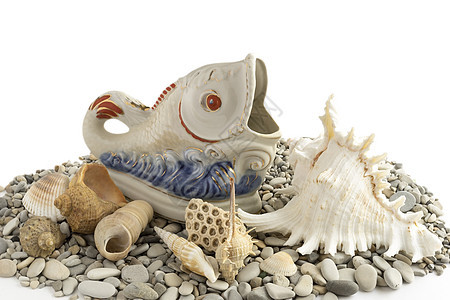 贝壳和瓷砖鱼图片
