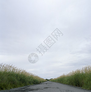 公路道路孤独蓝色天空青色芦苇国家季节场地中心农村图片