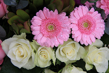 粉粉红花和白玫瑰图片