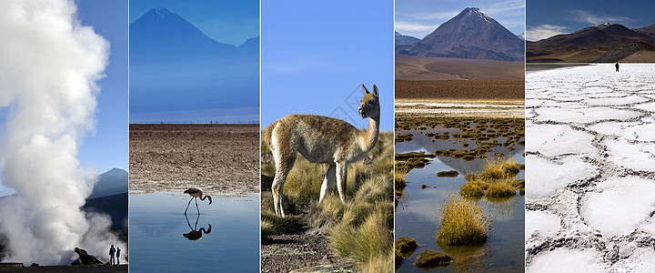 Atacama沙漠-智利-南美洲图片