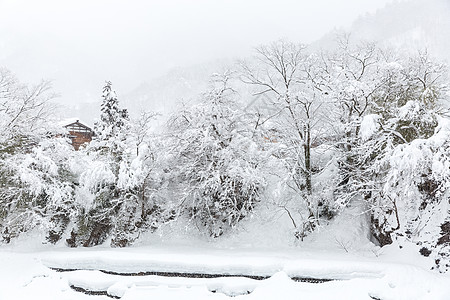 日本冬日日本白川地雾凇季节森林童话假期气候暴风雪首脑天空高地图片