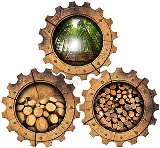 木材工业 - 木制齿轮图片
