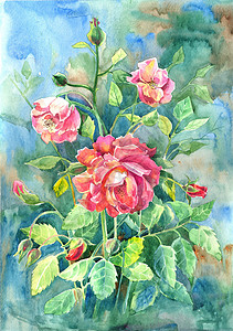含茶玫瑰的水彩花背景图片