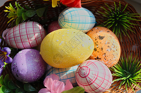 复活节鸡蛋篮子手提篮装饰装饰品点缀背景图片