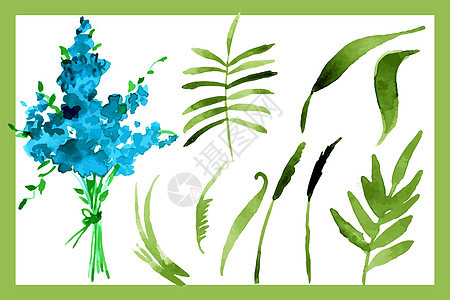 插图 用花朵来说明忘记我粉刷的水彩色装饰品蓝色叶子植物生日花束白色艺术婚礼绿色图片