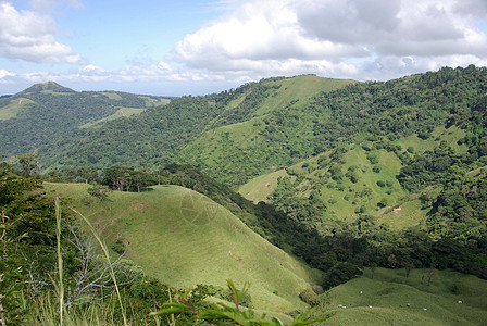 哥斯达黎加地貌景观草地荒野全景场地热带风景木头乡村国家森林图片