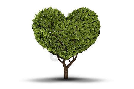 爱心树情人浪漫绿色图片
