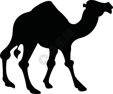 骆驼棕榈异国太阳大篷车金字塔情调单峰动物日落旅游图片