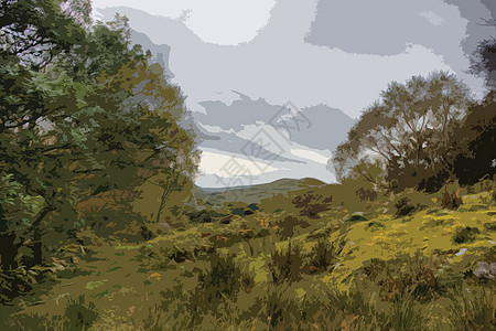 Snowdonia国家公园农村农村地区景国家公园远景场景乡村树木场地多云图片
