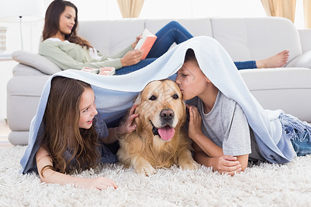 毛毯下带狗的兄弟姐妹图片