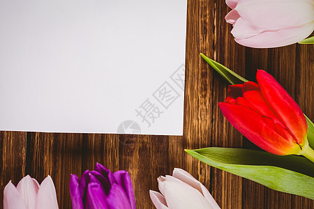 在白卡周围形成框架的图利普花束绿色花瓣叶子植物紫色粉色桌子树叶图片
