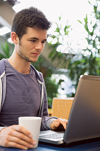 年轻学生在咖啡馆使用笔记本电脑互联网食堂键盘饮料男人教育学习屏幕大学咖啡店图片
