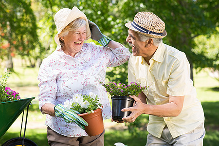 老年夫妇园艺快乐夫妻植物花盆花园女士男性女性草地土地独轮车图片