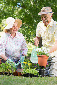 老年夫妇园艺快乐生长手套女性家庭男人植物草地活动闲暇花盆图片