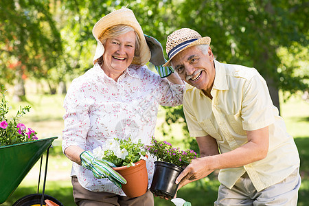老年夫妇园艺快乐手套植物喷壶草地花园男人闲暇帽子爱好花盆图片