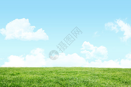 绿地与天空绿色场地风景草地蓝色开放农村空间背景图片