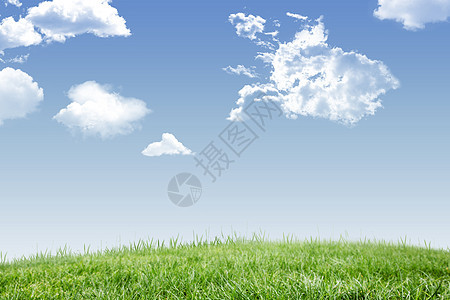 绿地与天空场地蓝色开放绿色农村空间草地风景图片