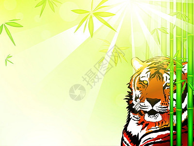 竹林的老虎野生动物普照卡通片力量动物插图荒野阳光野猫竹子图片