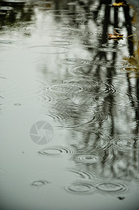 雨叶子城市背景图片