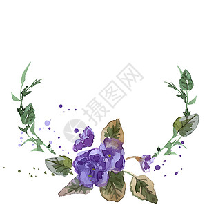 紫花花水彩色插图异国绘画情调墙纸叶子紫色花园织物艺术水彩图片