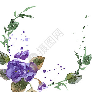 紫花花水彩色插图卡片花瓣叶子墙纸艺术紫色织物纺织品情调邀请函图片