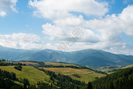 乌克兰喀尔巴阡山脉的景观树木场景生态旅游风景丘陵旅行纱布林业国家旅游图片