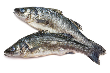 背景中的鲈鱼鱼白色市场食物八角钓鱼动物柠檬午餐烹饪香料图片