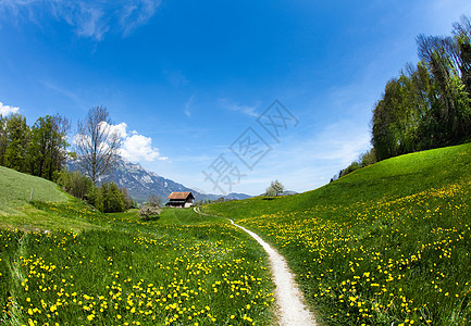 阿尔卑斯山脉的春天风景天空远景乡村草地全景高山季节蓝色花朵季节性图片