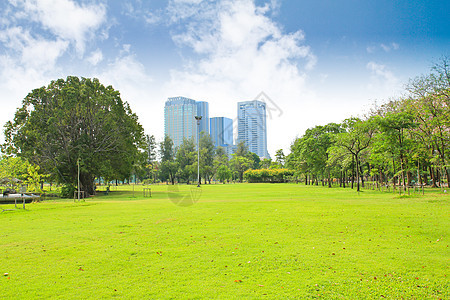 绿色城市公园邻里环境季节天空公园美丽建筑城市草地叶子图片