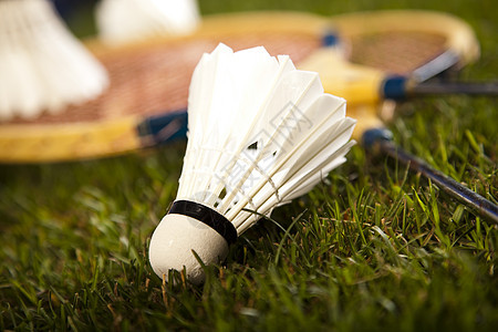 羽毛球拍制的航天飞机冰球竞赛网球橡皮草地皮革运动体育行动拼贴画图片