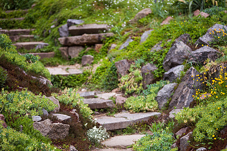 绿色花园中的石 Stony 楼梯人行道高山灌木植物群公园杂草衬套踪迹园艺植物图片