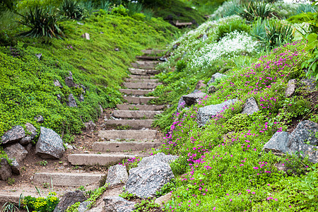 绿色花园中的石 Stony 楼梯灌木植物学爬坡脚步园林杂草途径花坛衬套缠绕图片