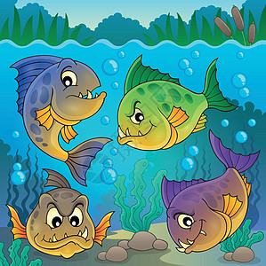 四条食人鱼在水下捕捞图片